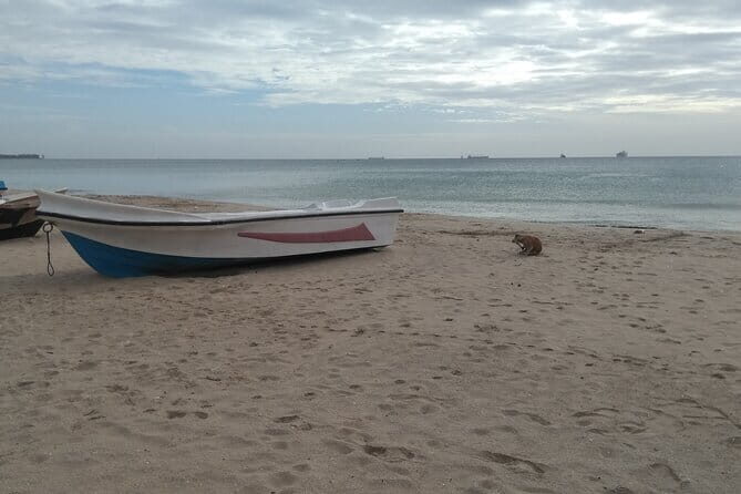 Trincomalee Day Tour From Kandy - An In-Depth Look at the Trincomalee Day Tour