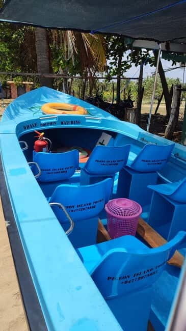 Trincomalee: Dolphin & Whale Watching Boat Tour - Good To Know