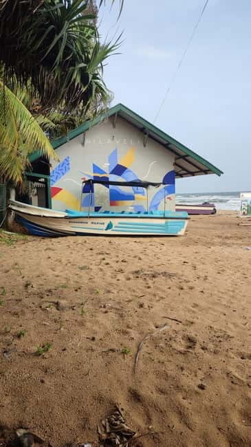 Trincomalee: Dolphin & Whale Watching Boat Tour - An In-Depth Look at the Trincomalee Whale & Dolphin Tour