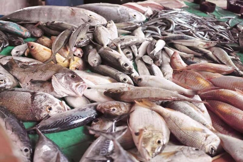 Trincomalee: Pigeon Island Day Tour with Lunch from Habarana - An In-Depth Look at the Tour Experience