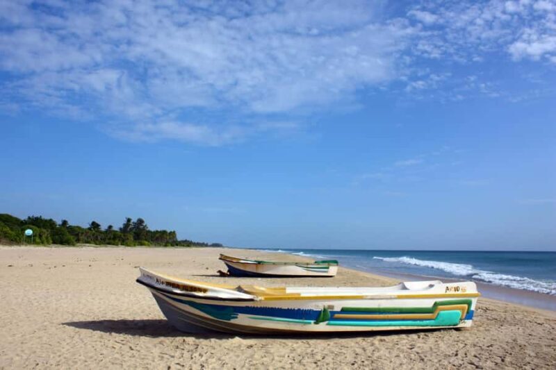 Trincomalee: Pigeon Island Day Tour with Lunch from Habarana - Who Will Love This Tour?