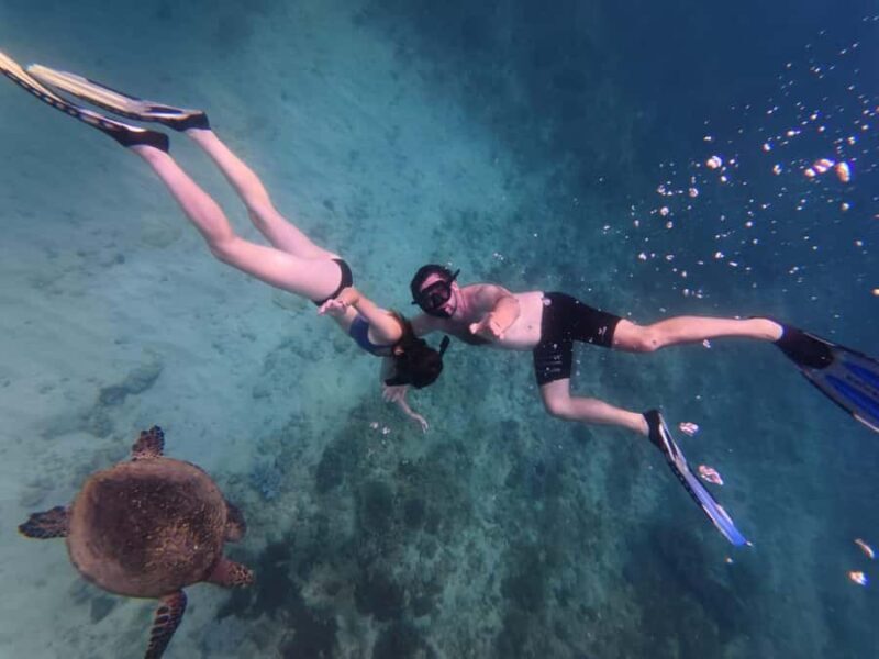 Trincomalee: Private Whale Watching and Snorkeling Tour - Introduction