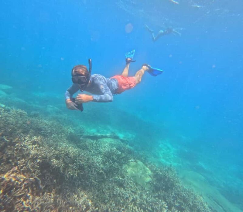 Trincomalee: Private Whale Watching and Snorkeling Tour - Good To Know