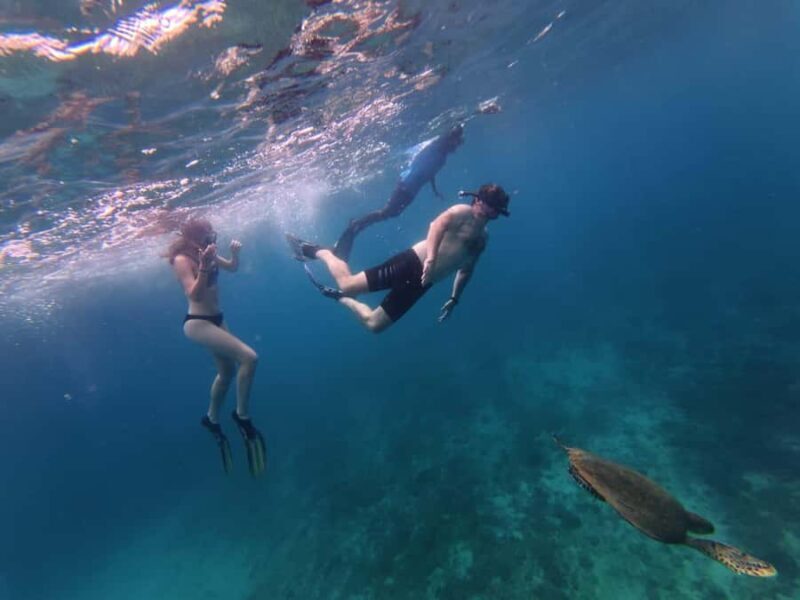 Trincomalee: Private Whale Watching and Snorkeling Tour - In-Depth Look at the Itinerary