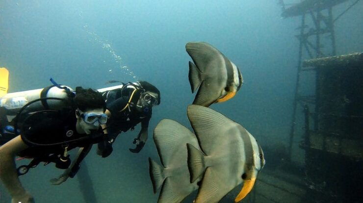 Trincomalee: Scuba Diving 2 Drives for Certified Divers - Good To Know