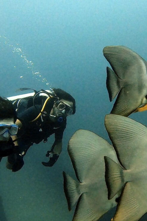 Trincomalee: Scuba Diving 2 Drives for Certified Divers - Scuba Diving Experience