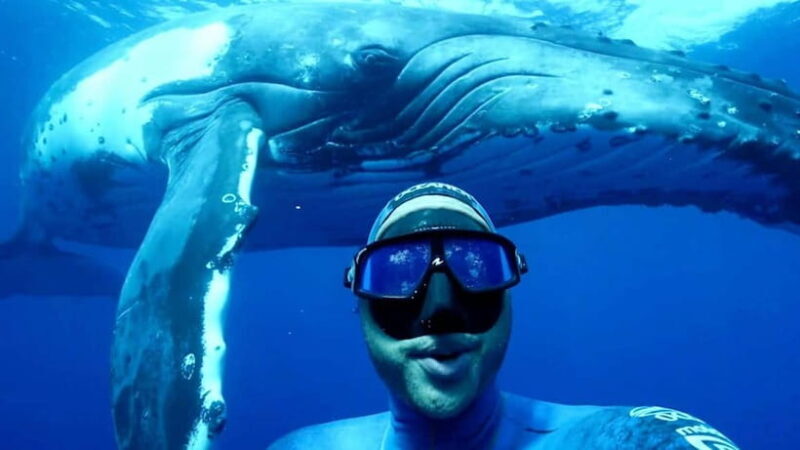 Trincomalee: Snorkeling Adventure with Whales - Why This Tour Is Worth Considering