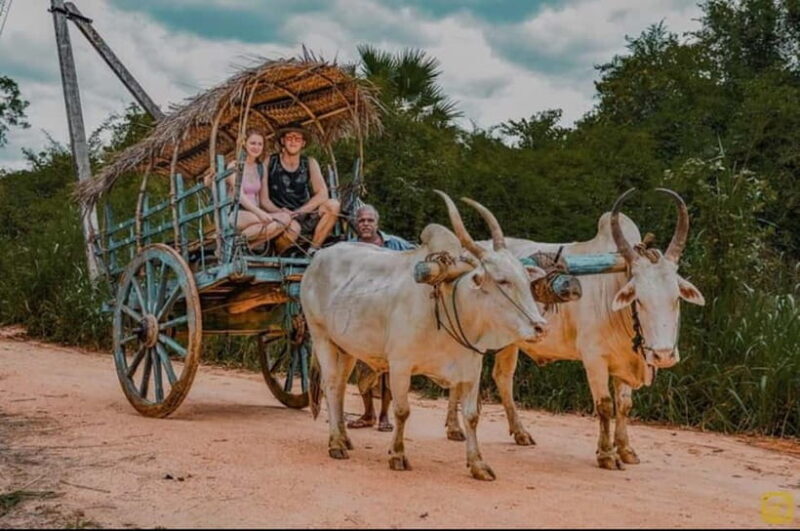 Trincomalee to Sigiriya:Rural Village Tour & Elephant Safari - A Delicious, Home-Cooked Lunch