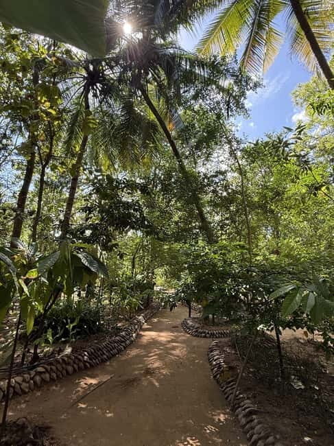 Trincomalee to Sigiriya:Rural Village Tour & Elephant Safari - Practical Details: What to Expect