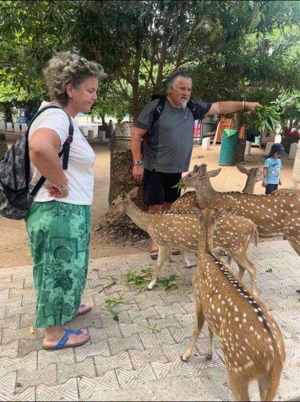 Trincomalee: Tuk-Tuk city tour with a guide - Good To Know
