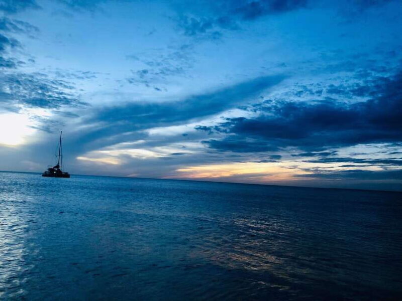 Trincomalee : Whale & dolphin watching +pigeon island tour - Additional Considerations