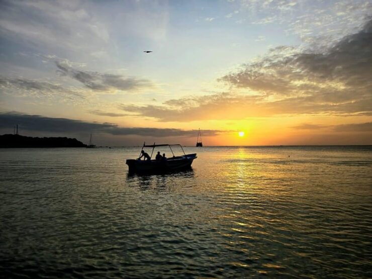 Trincomalee : Whale & Dolphin Watching +Pigeon Island Tour - Booking Information