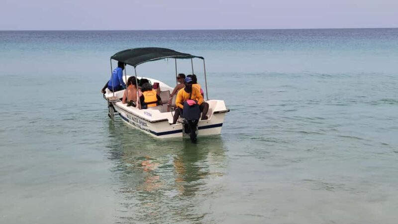 Trincomalee: Whales & Dolphin Watching Tours - Final Thoughts