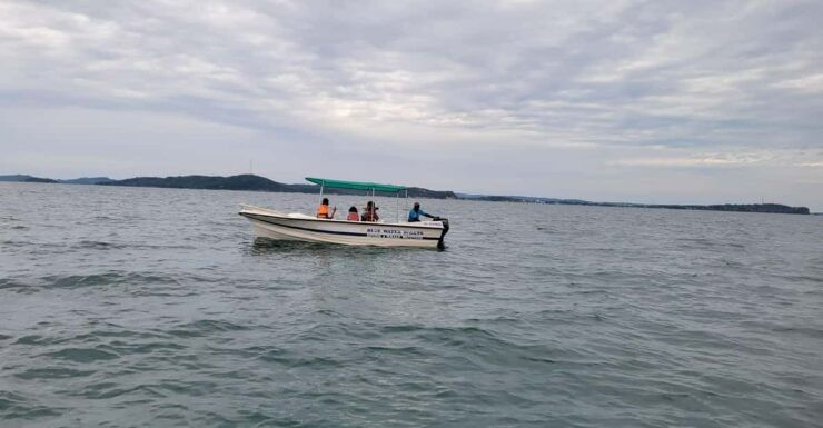 Trincomalee: Whales & Dolphin Watching Tours - Good To Know