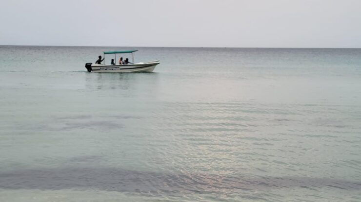 Trincomalee: Whales & Dolphin Watching Tours - Wildlife Sightings