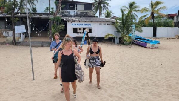 Trincomalee: Whales & Dolphin Watching Tours - Meeting Point Details