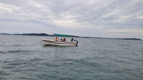 Trincomalee: Whales & Dolphin Watching Tours - Pricing Information