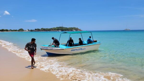 Trincomalee: Whales & Dolphin Watching Tours - Booking and Cancellation Policy