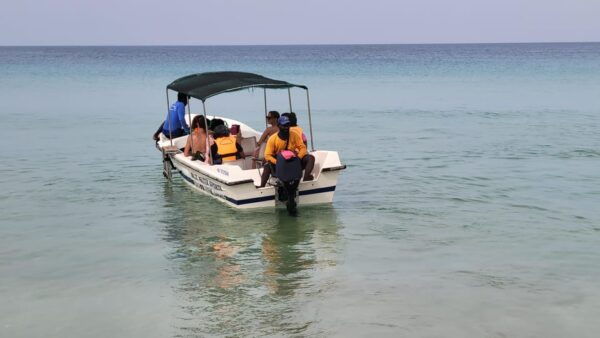 Trincomalee: Whales & Dolphin Watching Tours - Frequently Asked Questions