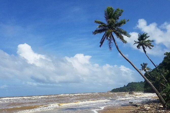 Trinidad Island Circle Tour With Pickup - Traveler Photos and Tips