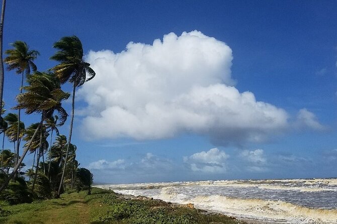 Trinidad Island Circle Tour With Pickup - Directions