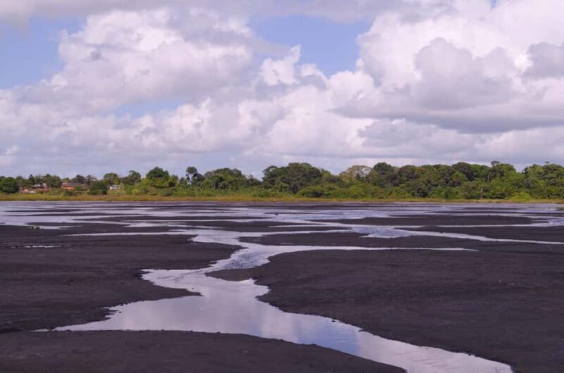 Trinidad: Pitch Lake and Chaguanas Sightseeing Tour - The Itinerary Breakdown