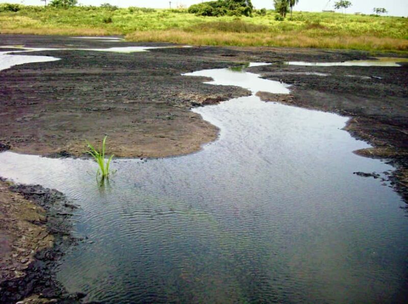 Trinidad: Pitch Lake and Chaguanas Sightseeing Tour - Practical Considerations & Value