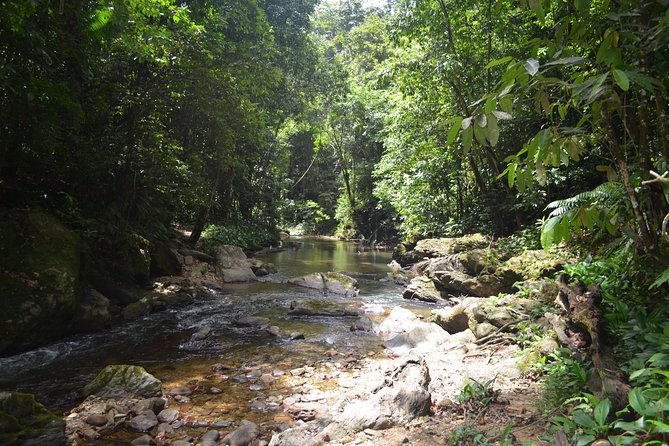 Trinidad Rainforest Hike to Waterfall - Enjoying the 65-Foot Waterfall