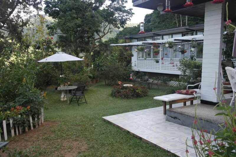 Trinidad: The Humming Bird Experience - Local Delicacies and Cultural Touches