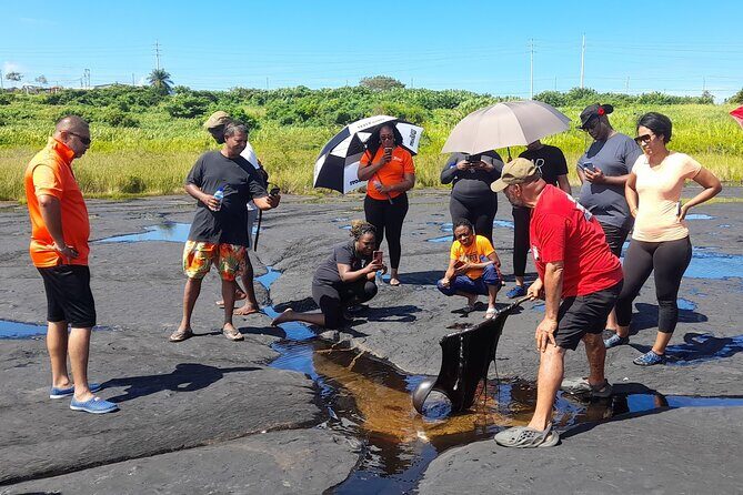 Trinidad Treasures Pitch Lake Temple and Scarlet Ibis - Good To Know