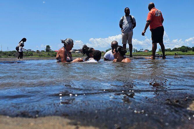 Trinidad Treasures Pitch Lake Temple and Scarlet Ibis - What Makes This Tour Stand Out?
