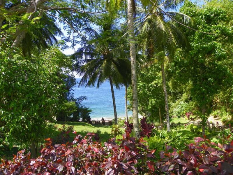 Trinidad: Zip Lining Experience & Fort George Panoramic View - How This Tour Compares to Similar Experiences  