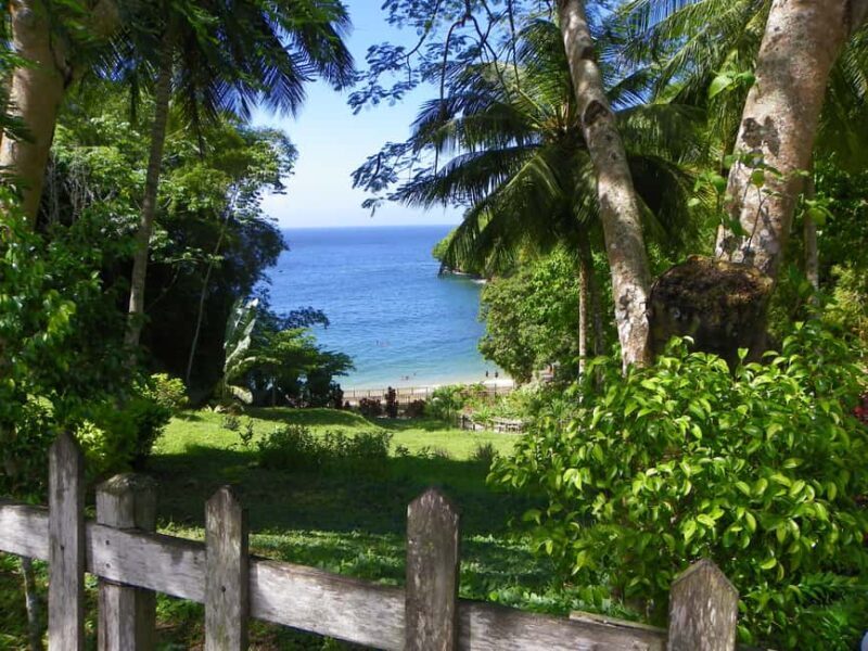 Trinidad: Zip Lining Experience & Fort George Panoramic View - FAQs  