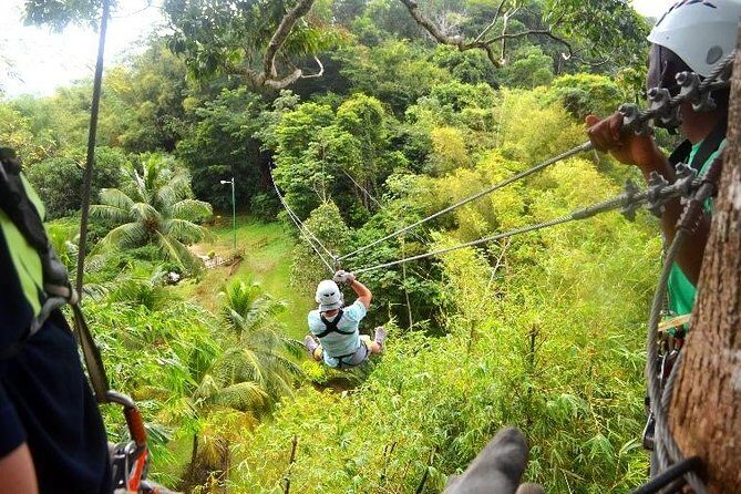 Trinidad Zipline Adventure - Good To Know