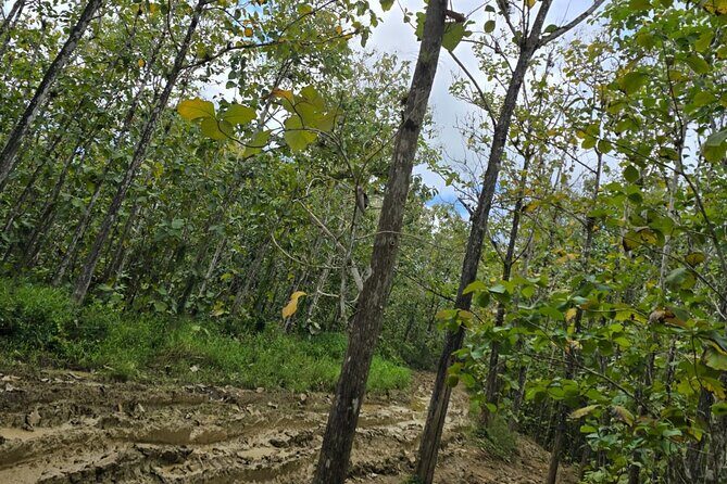 Trinidad's Mud bath - FAQ