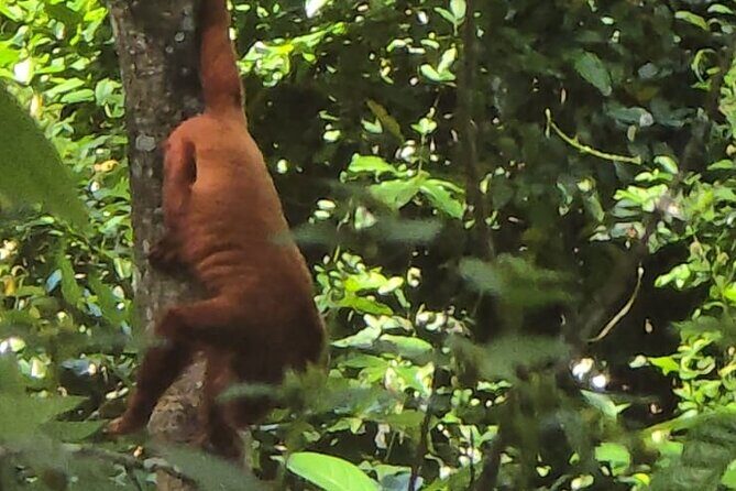 Trinidad's Mud bath - Exploring Trinidad’s Mud Bath Experience
