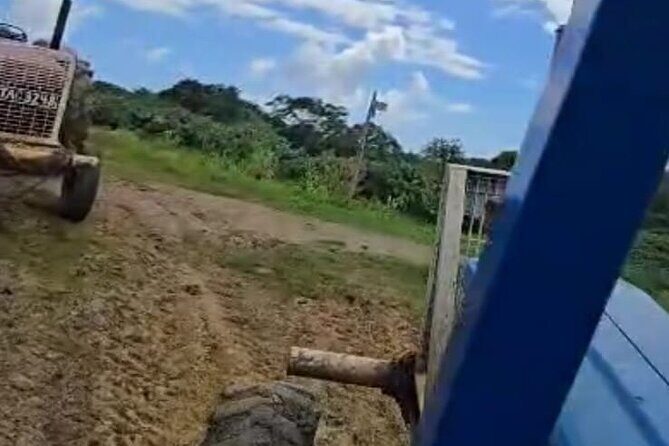 Trinidad's Mud bath - An In-Depth Look at Trinidad’s Mud Bath Tour