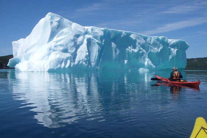 Trinity Tow N Go Kayak Tour - Inclusions