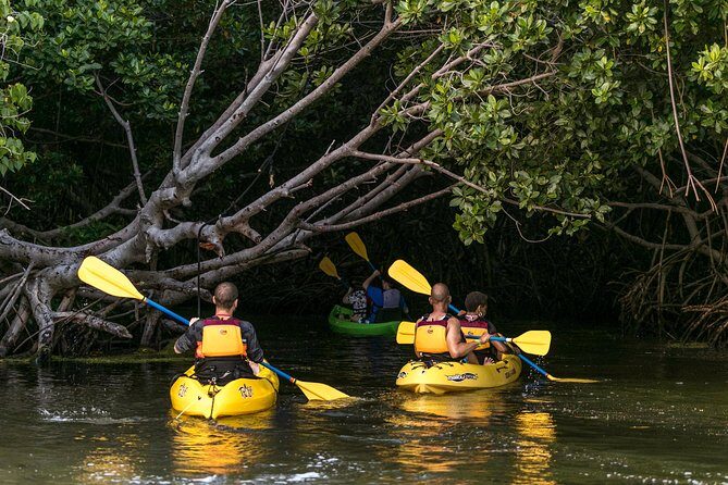Trio Tour: El Yunque, Luquillo Beach, and Bio Bay Night Kayaking - The Itinerary in Detail
