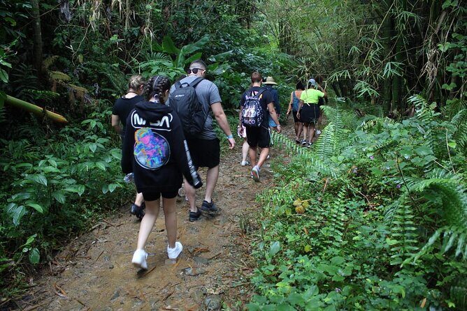Trio Tour: El Yunque, Luquillo Beach, and Bio Bay Night Kayaking - Final Thoughts