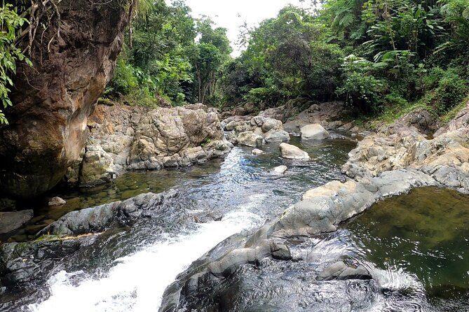 Trio Tour: El Yunque, Luquillo Beach, and Bio Bay Night Kayaking - FAQs