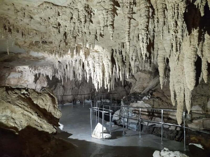 TrioDEAL MilkyWay GLOWWORM Cave, Kiwi Bird & Whangarei Falls - Exploring the TrioDEAL MilkyWay GLOWWORM Cave, Kiwi Bird & Whangarei Falls Tour