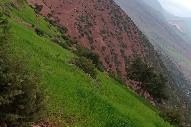 Trip 3 Valleys & HIGH Atlas Mountains - Common Questions