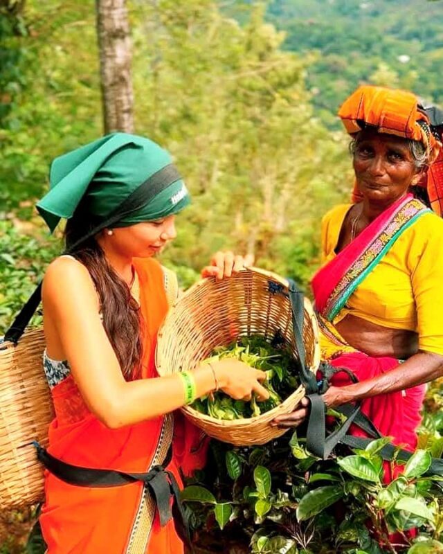 Trip from Kandy to Ambewela Railway Station via Nuwara Eliya - An In-Depth Look at the Itinerary