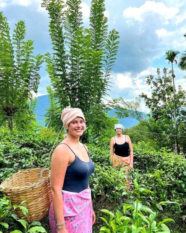 Trip from Kandy to Ambewela Railway Station via Nuwara Eliya - Why This Tour Is a Great Choice