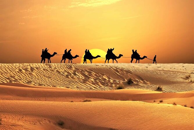 Trip of LifeTime Private 15-Days Around Morocco - Accommodation and Meals