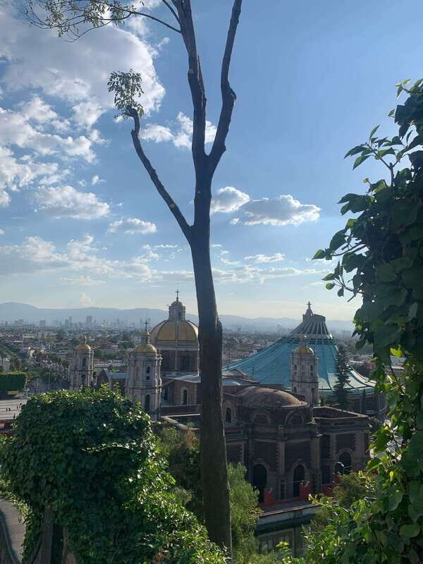 Trip through Teotihuacan, Basilica and Mezcal tasting. - Accessibility and Considerations