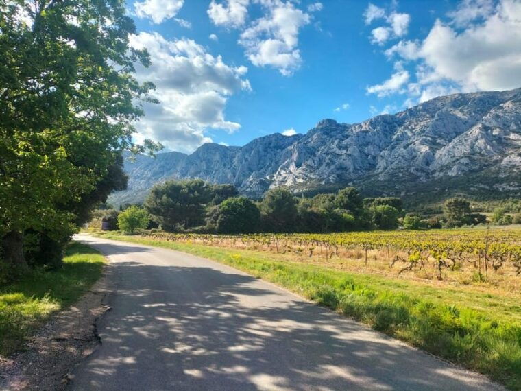 Trip to Aix-en Provence, Marseille & Countryside Wine Tour - Countryside Wine Experience