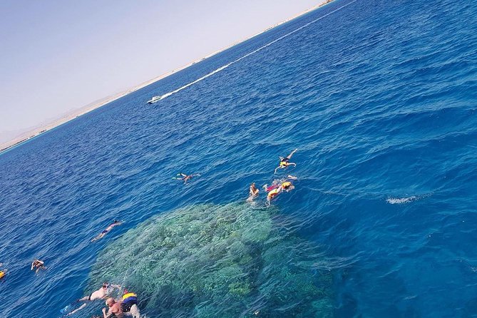 Trip to Dolphin House and Banana Boat Fun From Hurghada - Snorkeling Adventure