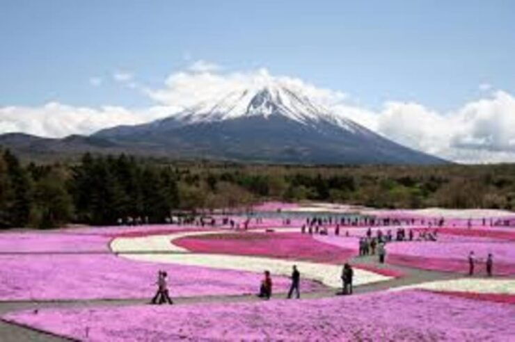 Trip to Fuji Mt With an English Speaking Driver - Itinerary Highlights